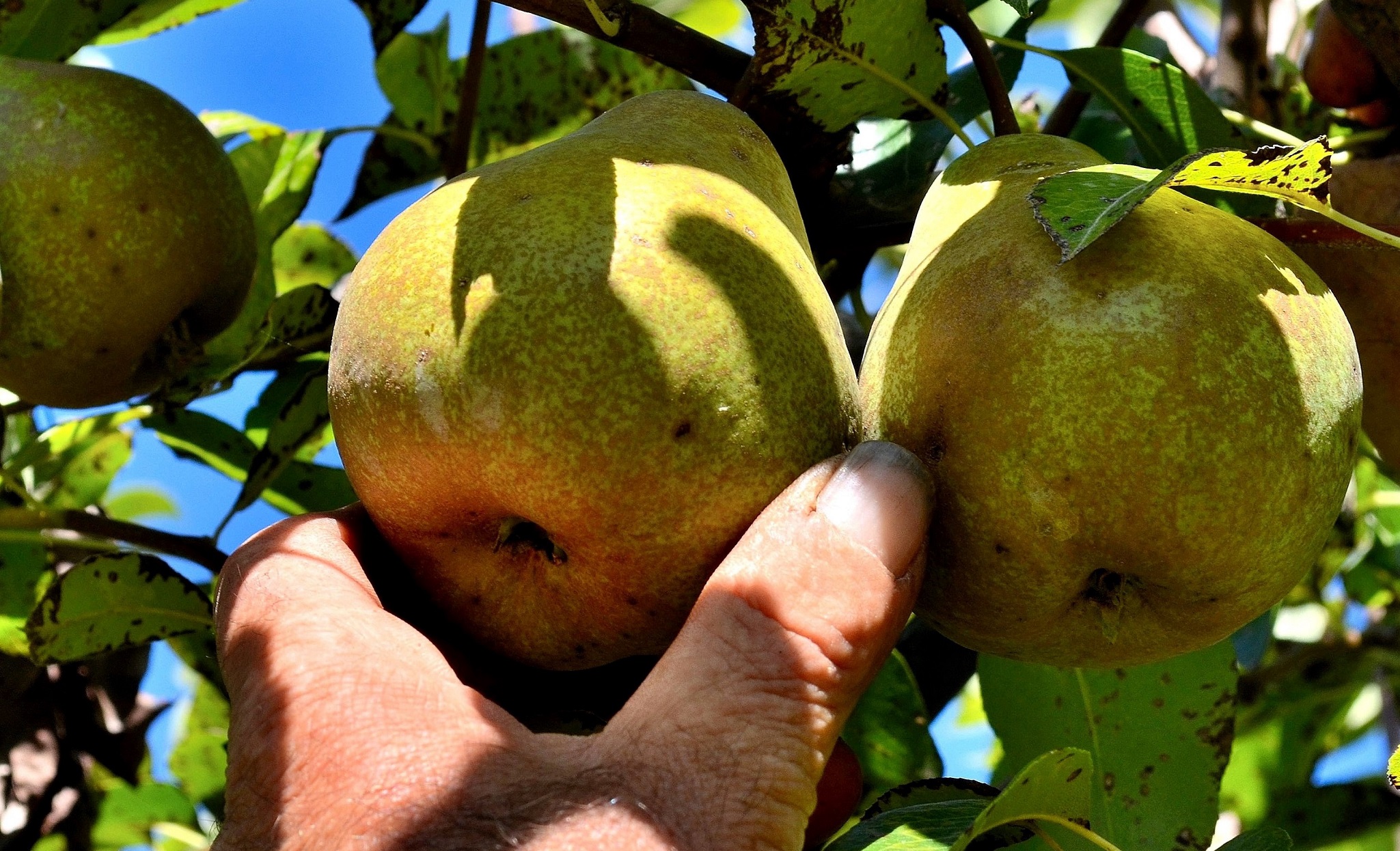 Enogastronomia Valle Grana